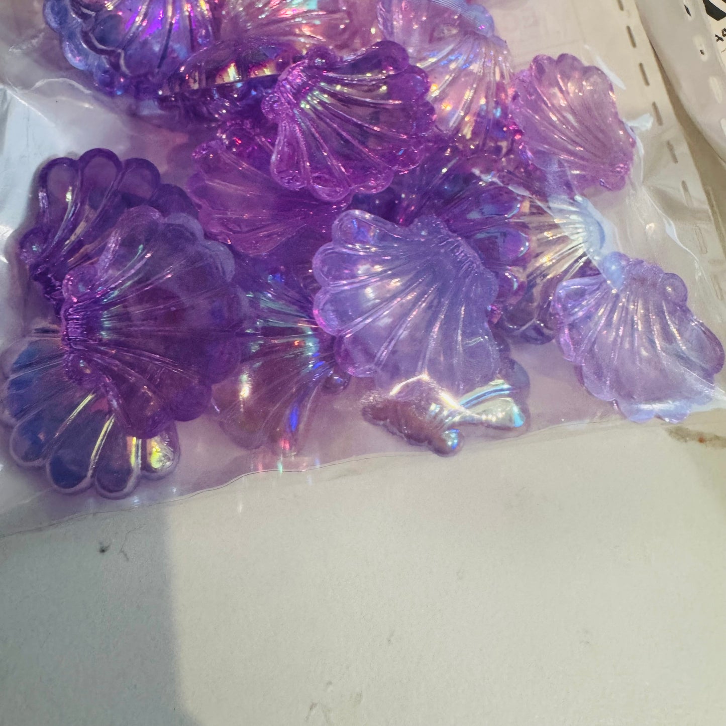 30 larger seashells lavander