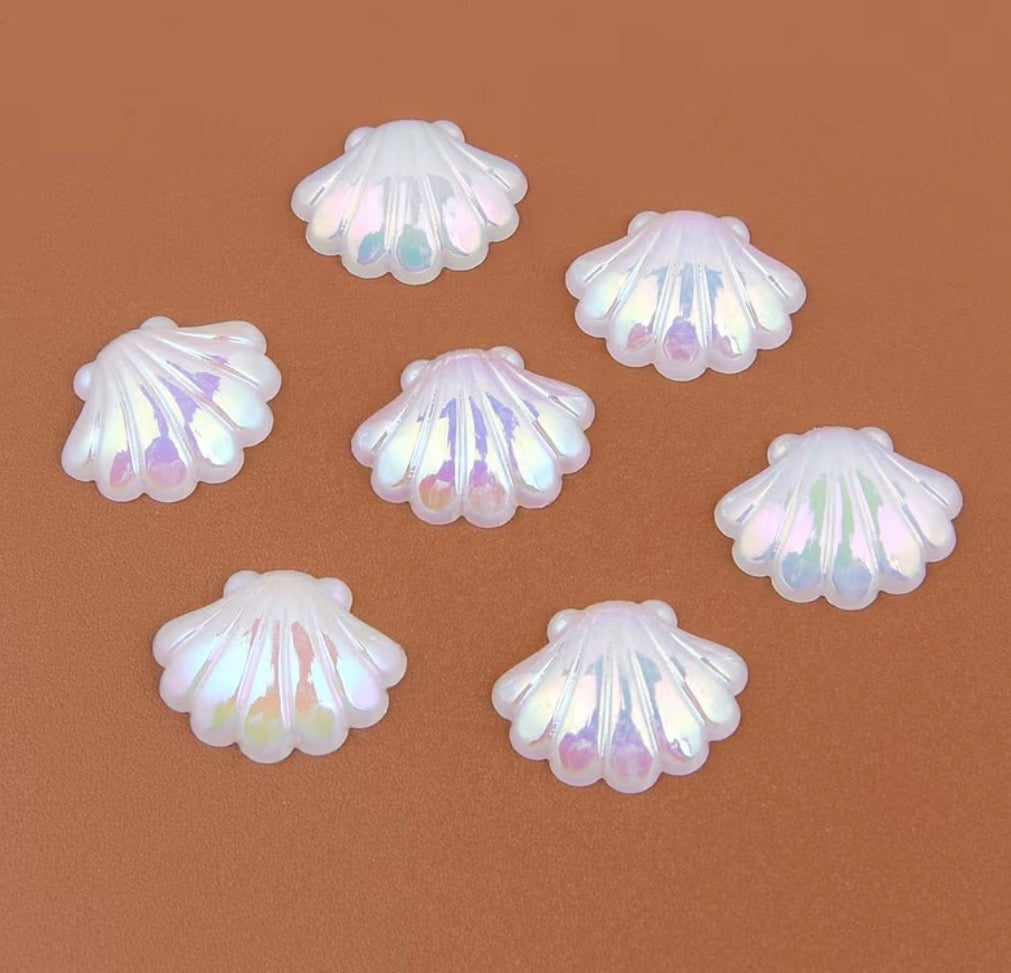 30 larger seashells white