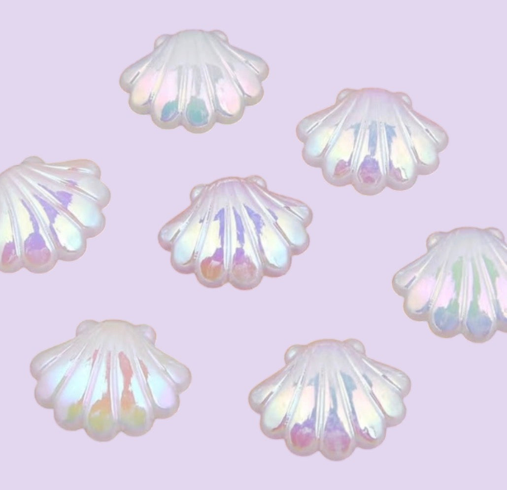 30 larger seashells white