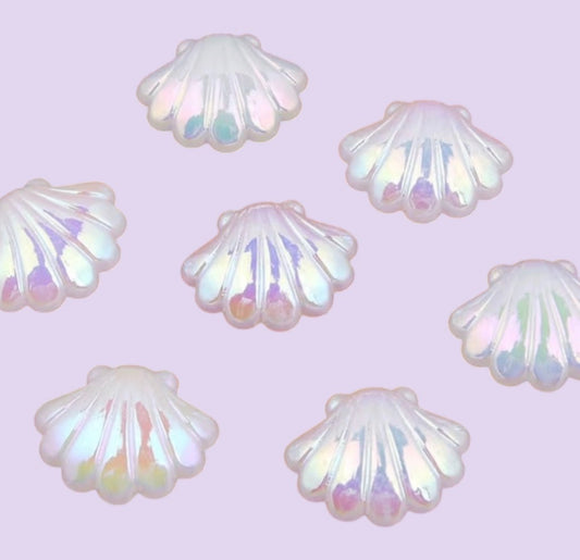 30 larger seashells white