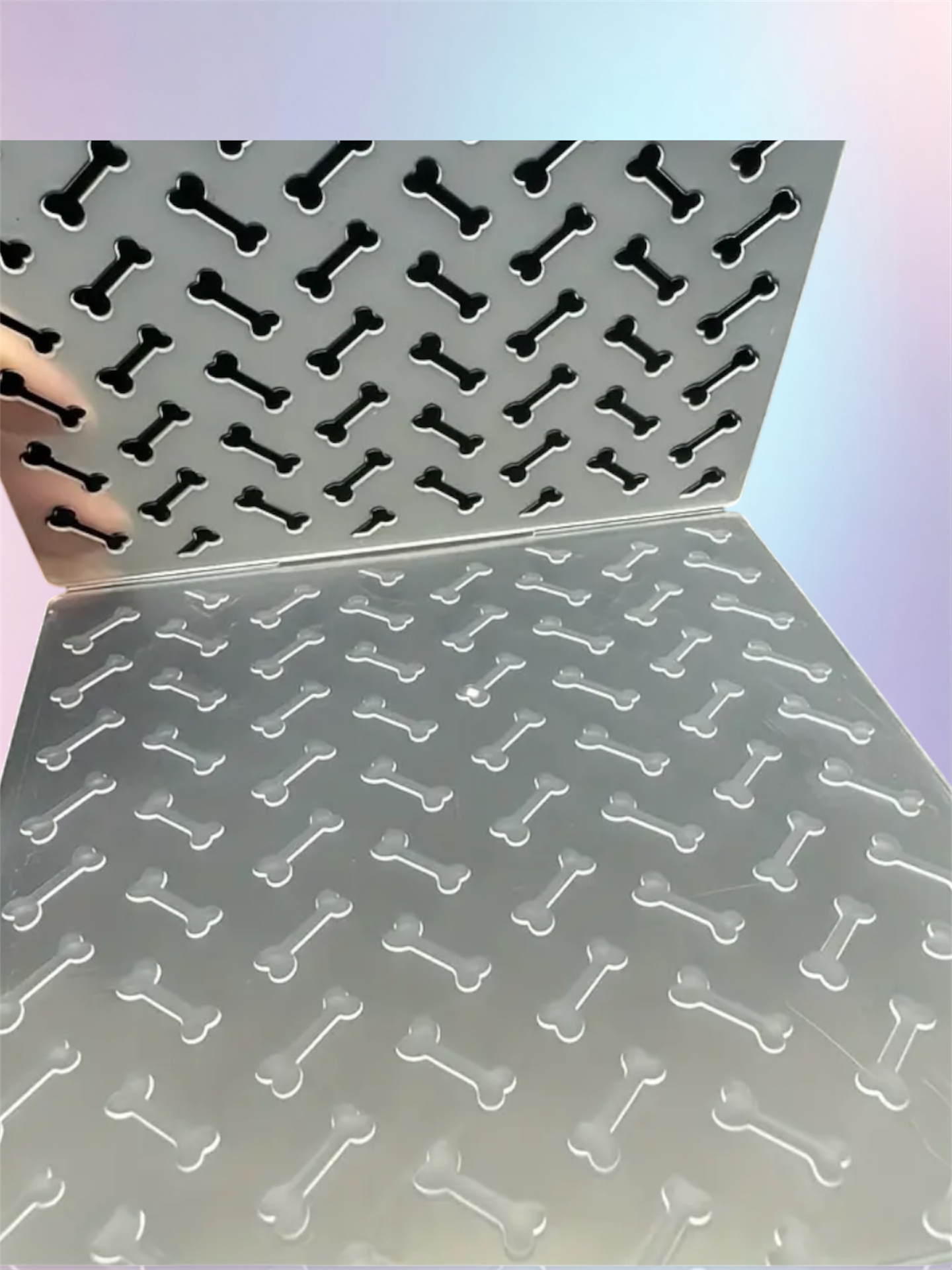 Bone & banner  Embossing folder